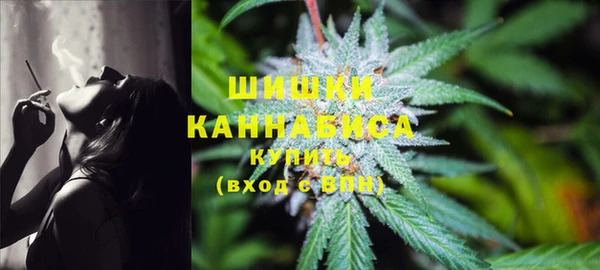 сатива Горняк