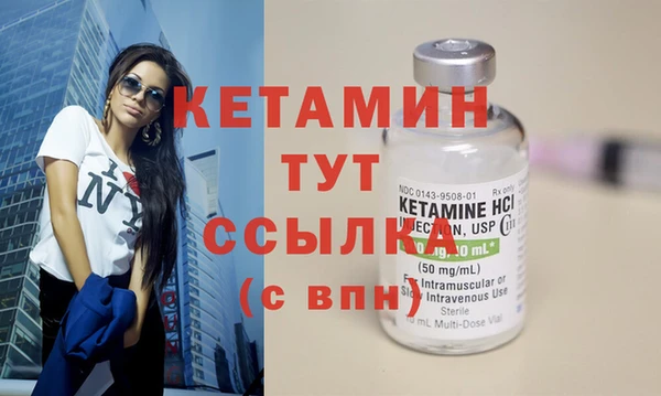 сатива Горняк