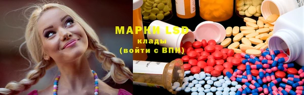 сатива Горняк