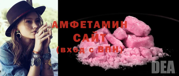 сатива Горняк