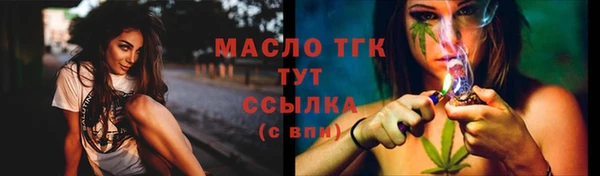 сатива Горняк