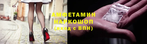 сатива Горняк