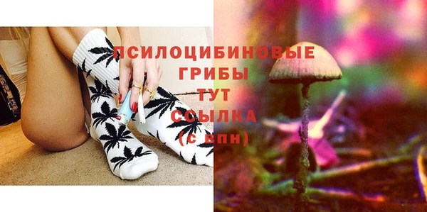 сатива Горняк