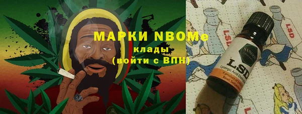 сатива Горняк
