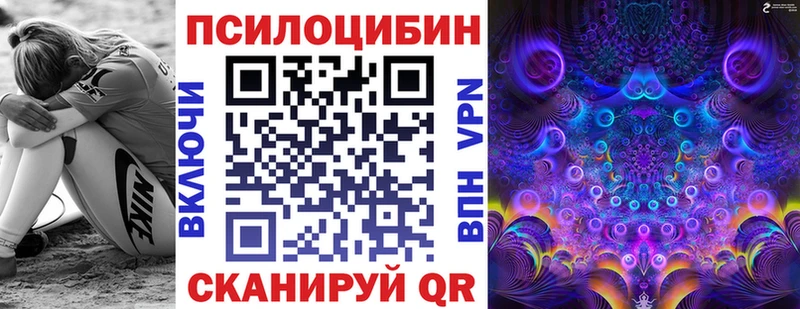 Псилоцибиновые грибы MAGIC MUSHROOMS  где купить наркоту  Евпатория 